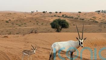 Untamed nature and mountain highs in the UAE&rsquo;s wildest emirate, Ras Al Khaimah