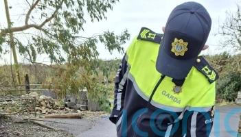 Irish police conclude that roaming ‘lion’ was actually a dog