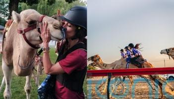 Woman who became a pro camel rider at 40 and hopes it becomes an Olympic sport says it ‘isn’t for the faint-hearted’