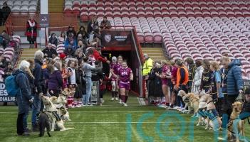 Guide Dogs puppies form guard of honour at Premiership Women’s Rugby match