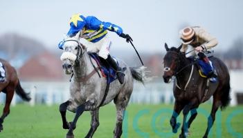 Kandoo Kid might have this season off, says Nicholls