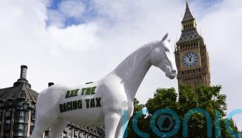 Henderson and Nicholls among those buoyed by Budget news