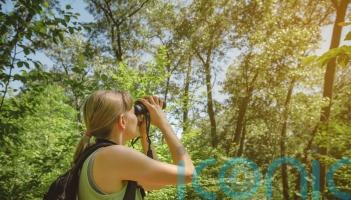 Are birdwatching holidays going to be the big trend for 2026? Advice and where to go