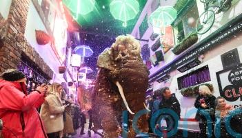 Mammoth festive surprise for revellers in Belfast’s Cathedral Quarter