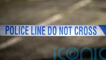 Investigation after woman raped in wooded area in early morning attack