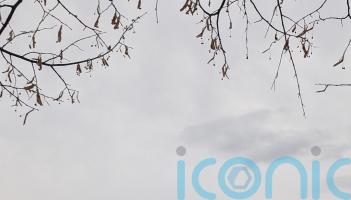 Why Geneva makes the perfect festive city break