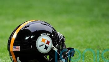 Pittsburgh Steelers wide receiver DK Metcalf appears to throw punch at fan