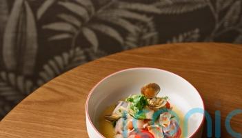 Nobu&rsquo;s seafood ceviche recipe