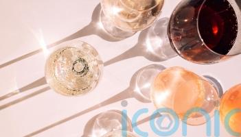 9 superb wines of 2025 to snap up now