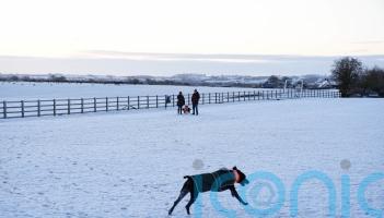 In Pictures: Snow day fun as bitterly cold snap grips the UK