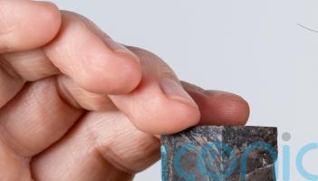 Fossil of dead-end branch of life which became extinct to go on display