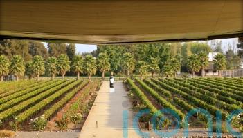 6 superb South American wines to swoon over