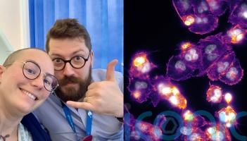 Scientist whose wife has incurable cancer creates large-scale breast cancer cell images to show &lsquo;beauty in everything&rsquo;