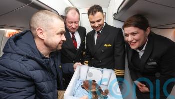 Rescued turtle swept away by storm given VIP treatment on flight