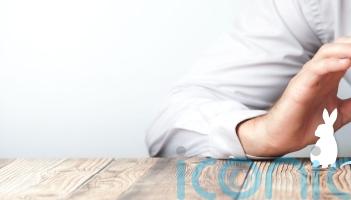 Is it possible to make vet bills less brutal?