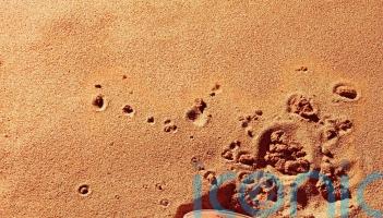 Everyday&rsquo;s a &lsquo;battle&rsquo; for sales, says 142-year-old firm betting on TikTok Shop