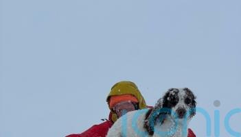 Rescuers find dog after night on freezing Highlands mountainside