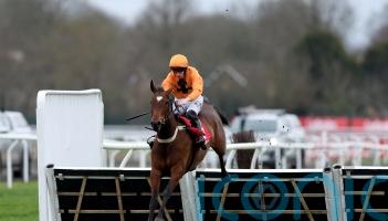 La Luna Artista does Williams proud in Adonis triumph