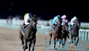 Henderson fully aware of what is at stake with Constitution Hill