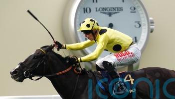 More overseas action planned for Neom Turf star Royal Champion