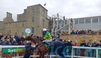 Iroko and Protektorat the star turns among Kelso entries