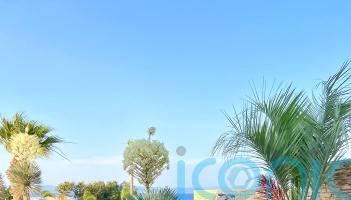 &lsquo;I had a rare and extremely painful period where the uterine lining shed in one intact piece the size of my palm&rsquo;