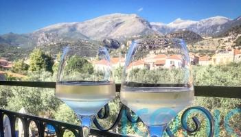 From Bulgaria to Ukraine, 6 off the beaten track wines to try