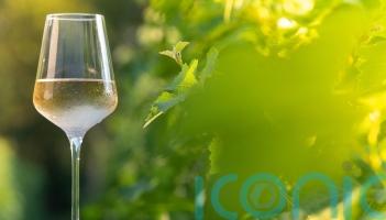 6 wonderful whites to signal springtime