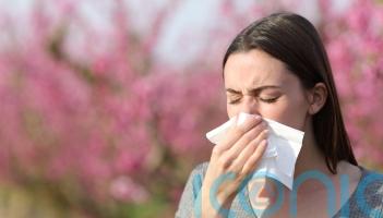 Home hacks for a sneeze-free space