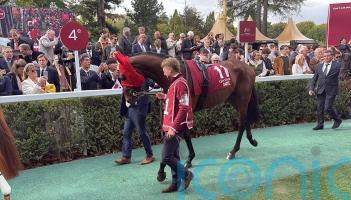 All eyes now on Daryz as Arc hero nears return