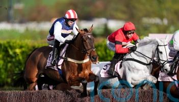 Punchestown bid still possible for The Jukebox Man