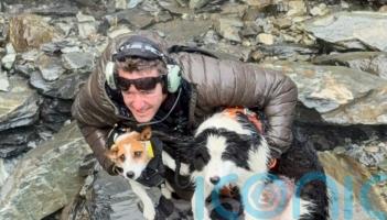 Hiker&rsquo;s dog lost in New Zealand forest rescued after strangers fund search