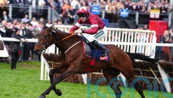 Brighterdaysahead and The New Lion clash again