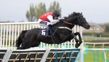 Minella Study aiming to do Nicol proud once more