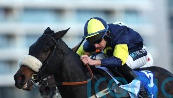 Wendigo out for Cheltenham compensation in the Mildmay