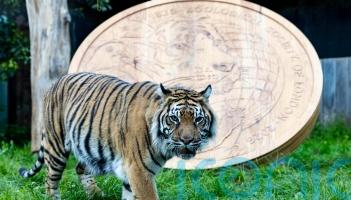 Roarsome: Giant replica coin unveiled at London Zoo to mark 200 years of ZSL
