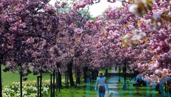 Hotspots where asking rents have surged revealed amid wider price standstill