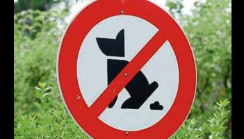 Calls for new scheme to tackle dog fouling across Limerick