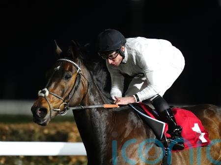 Constitution Hill&rsquo;s official Flat rating revealed