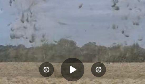 Twister caught on camera in Carlow? Odd weather as expert issues update