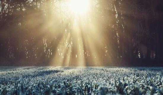 Ireland set for higher temperatures this week as Met &Eacute;ireann signals major shift