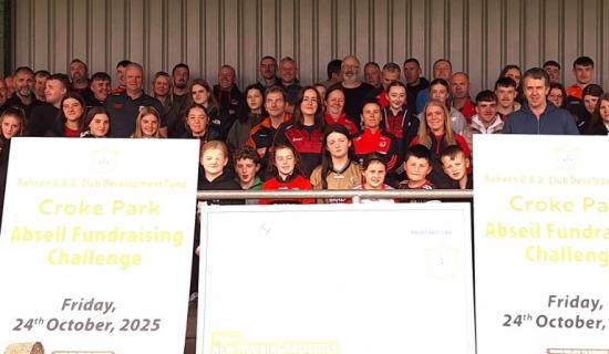 Offaly GAA clubs praised for embarking on development projects