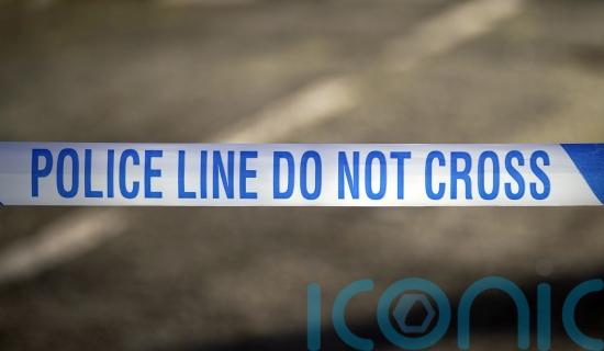 Investigation after woman raped in wooded area in early morning attack