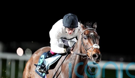 Michael Buckley has Melbourne Cup dream for Constitution Hill