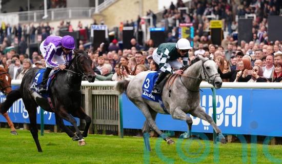 Guineas prospect Gewan fatally injured in racecourse gallop