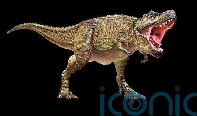 Chris Packham On Why It S So Important We Never Stop Learning Ireland