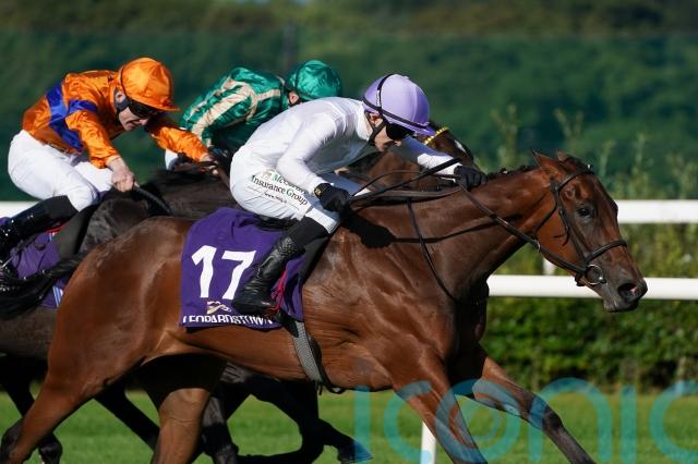 Green Impact breaks new ground for owner-breeder Marc Chan - Ireland Live