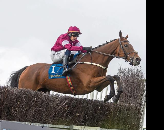 Slotbox Casino Gaming Experience