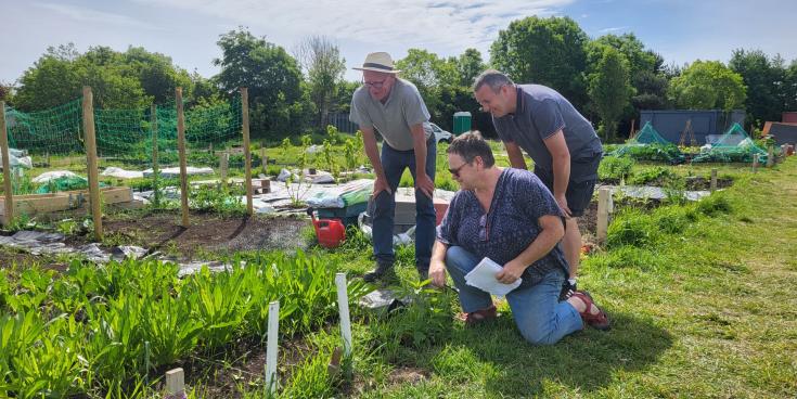Tour at community garden in Dundalk to mark National Community Gardens week