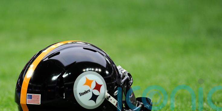 Pittsburgh Steelers wide receiver DK Metcalf appears to throw punch at fan